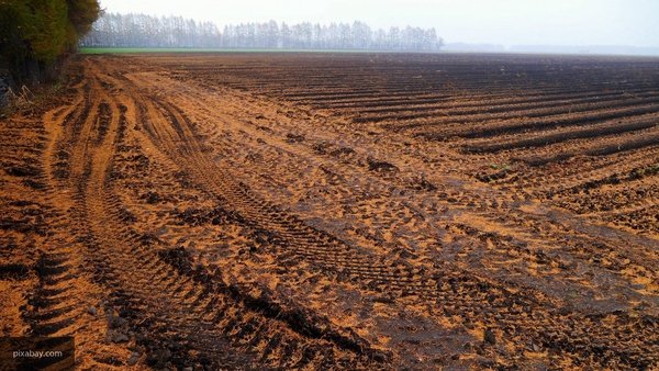 На Украине начали массово отбирать земли у крестьян 